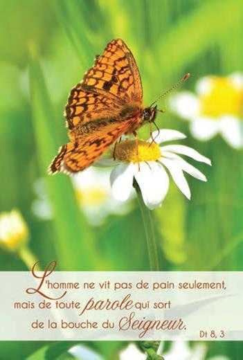 Carte simple Photo Nature L'homme ne vit pas de pain seulement