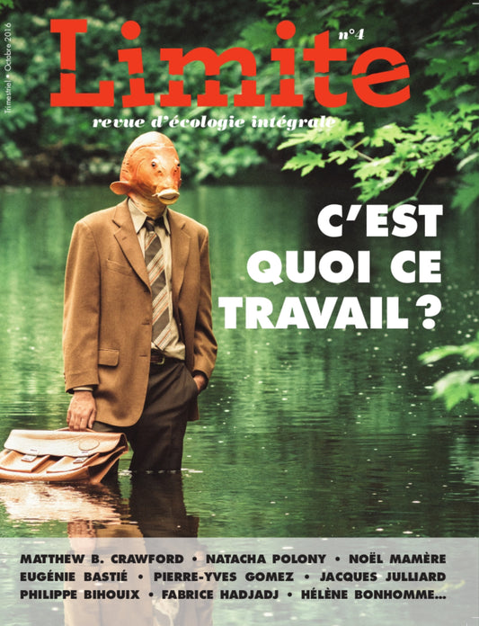 C'est quoi ce travail' - Revue Limite n°4